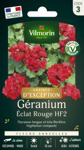 Géranium Eclat Rouge HF2 - Graines d'Exception